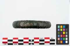 Foto von Bronzearmreif (NHMW-PRAE-025656)